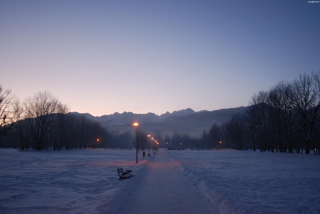 Viva Maria Apartamenty Zakopane Esterno foto