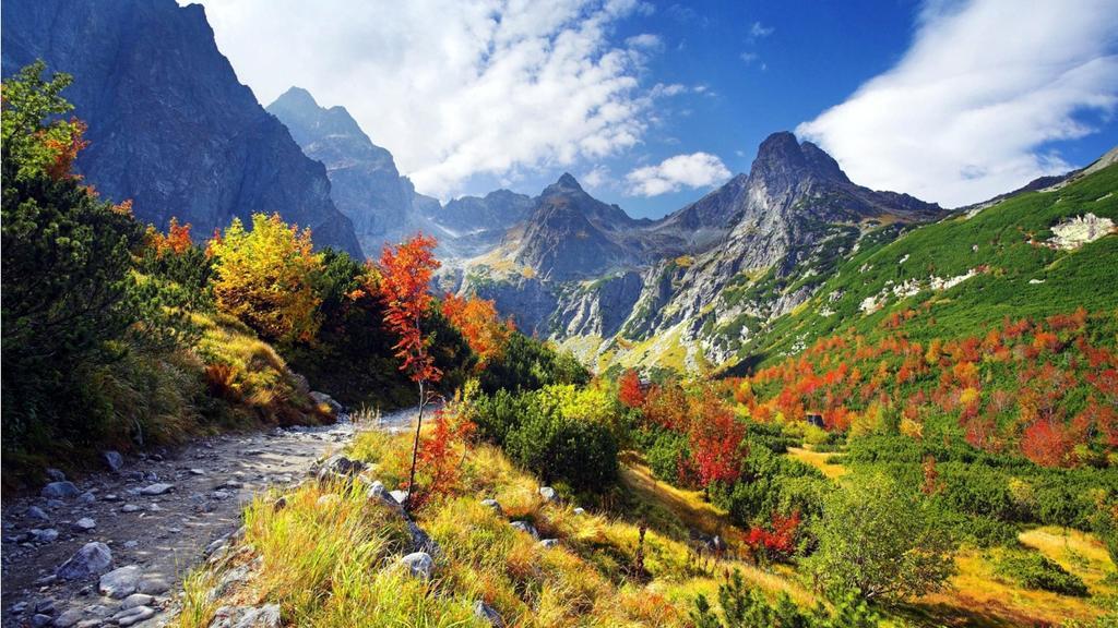 Viva Maria Apartamenty Zakopane Esterno foto