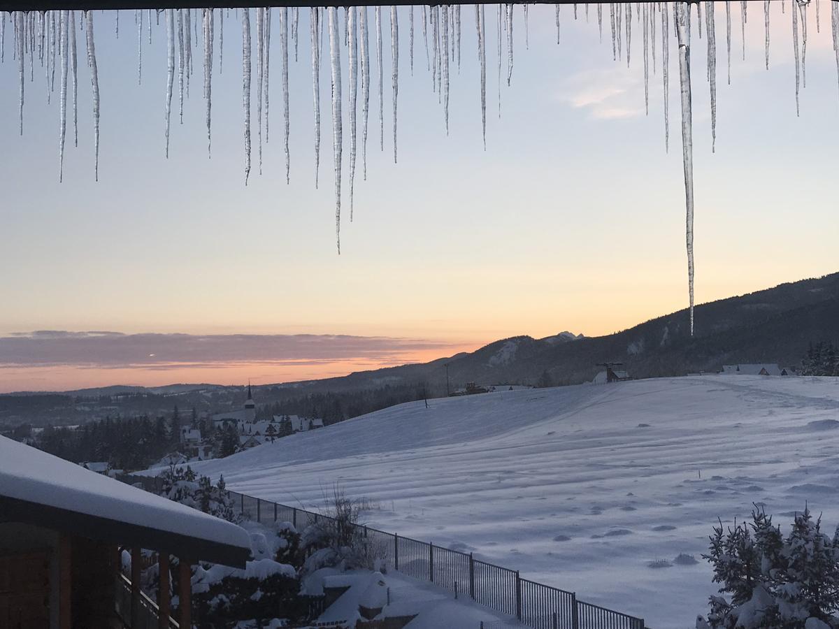 Viva Maria Apartamenty Zakopane Esterno foto